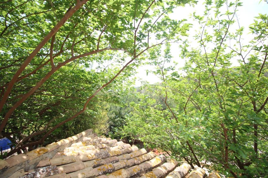 Imagen de Casa en Puçol número 27