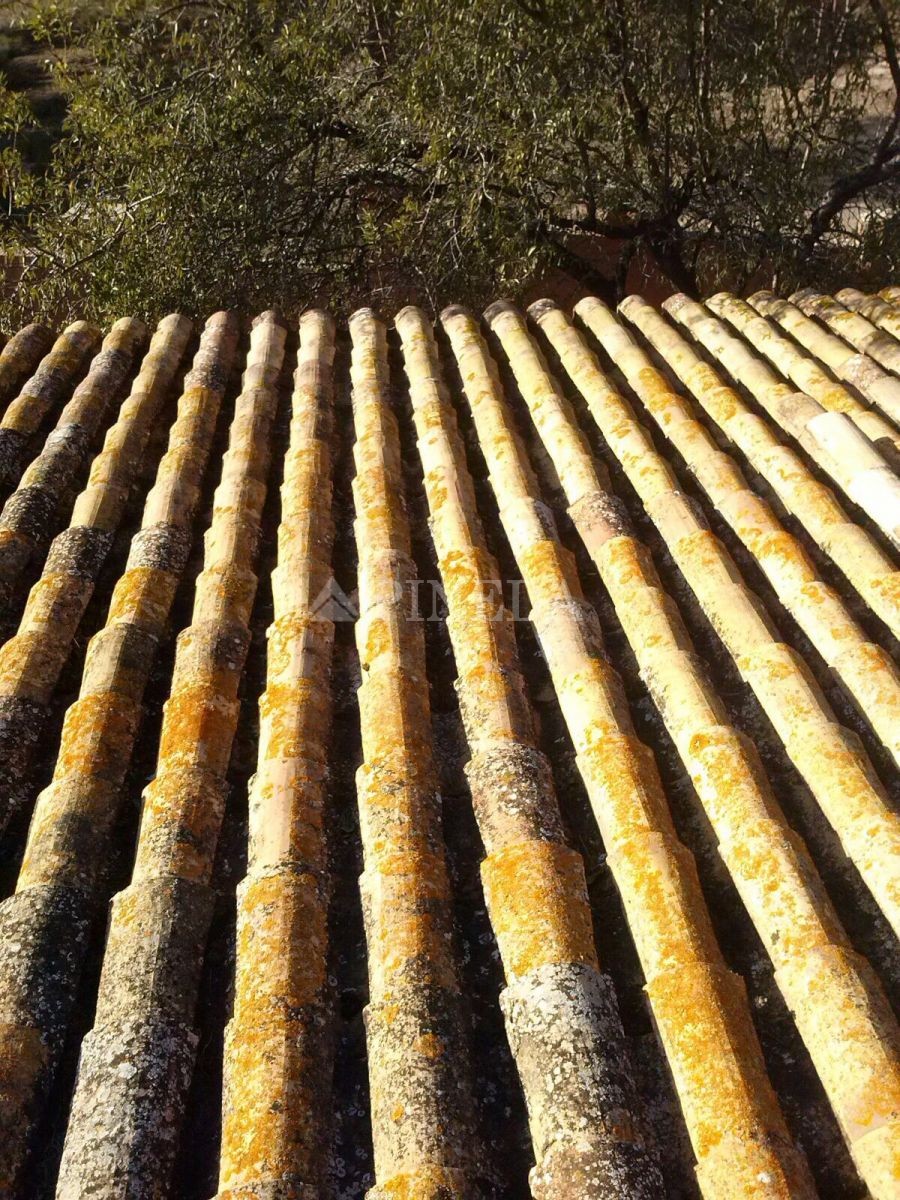 Imagen de Casa en Puçol número 37