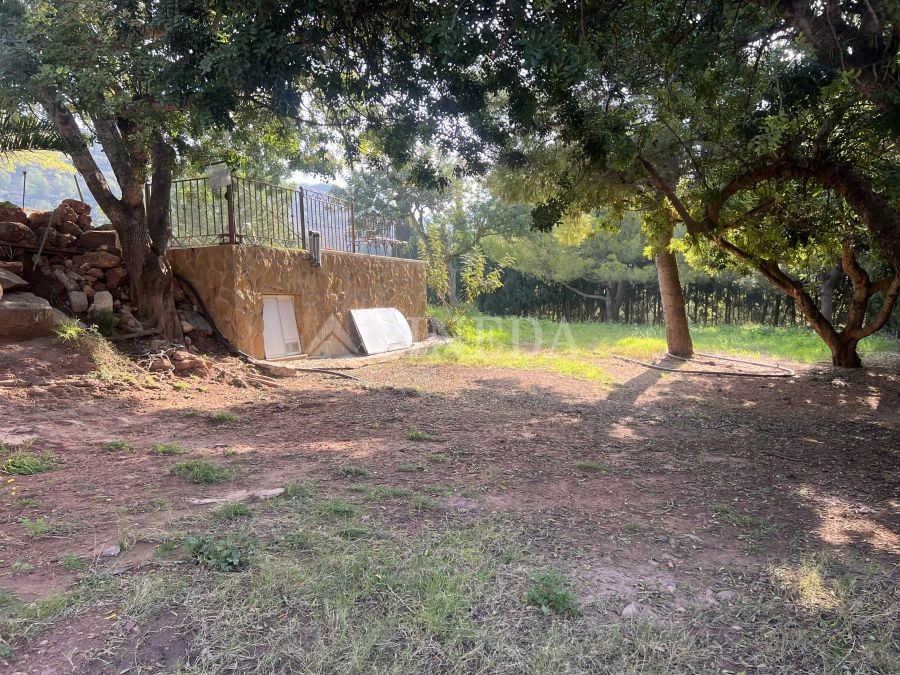 Imagen de Casa en Puçol número 41