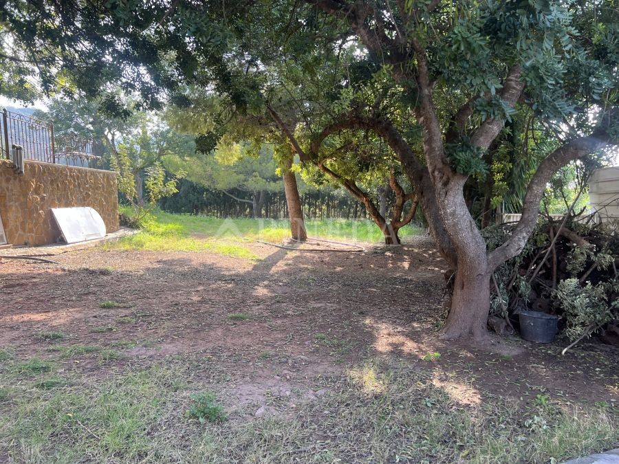 Imagen de Casa en Puçol número 42