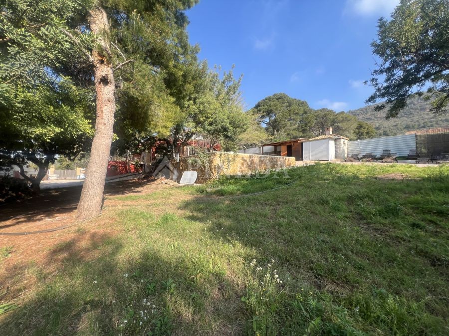 Imagen de Casa en Puçol número 49