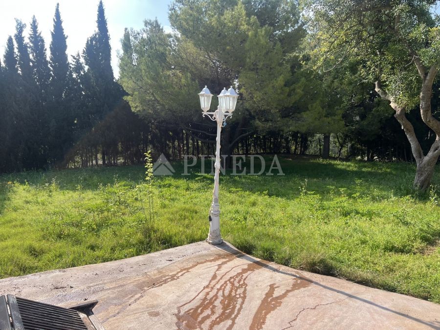 Imagen de Casa en Puçol número 51
