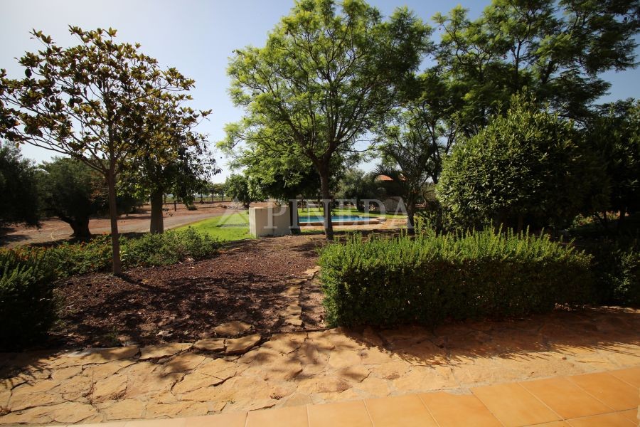 Imagen de Casa en El Puig número 7