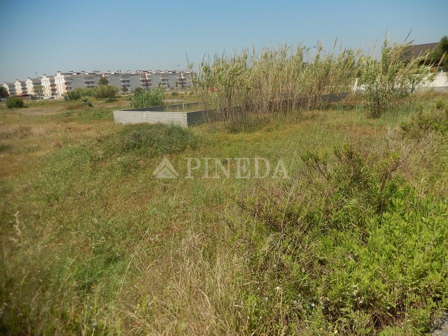 Imagen de Suelo Urbano en Almenara número 3