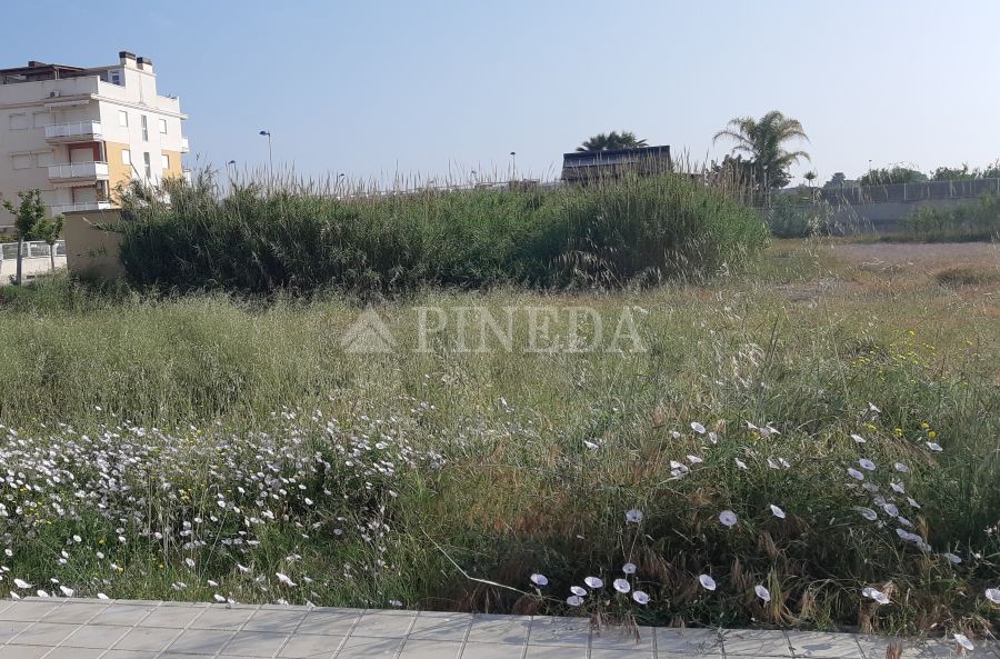 Imagen de Suelo Urbano en Almenara número 2