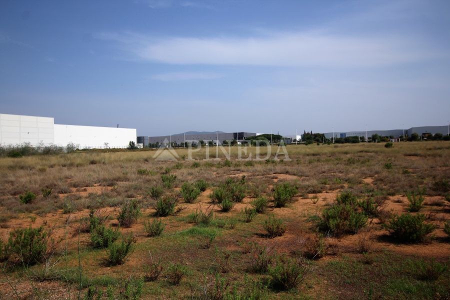 Imagen de Suelo Urbano en Puerto de Sagunto número 24