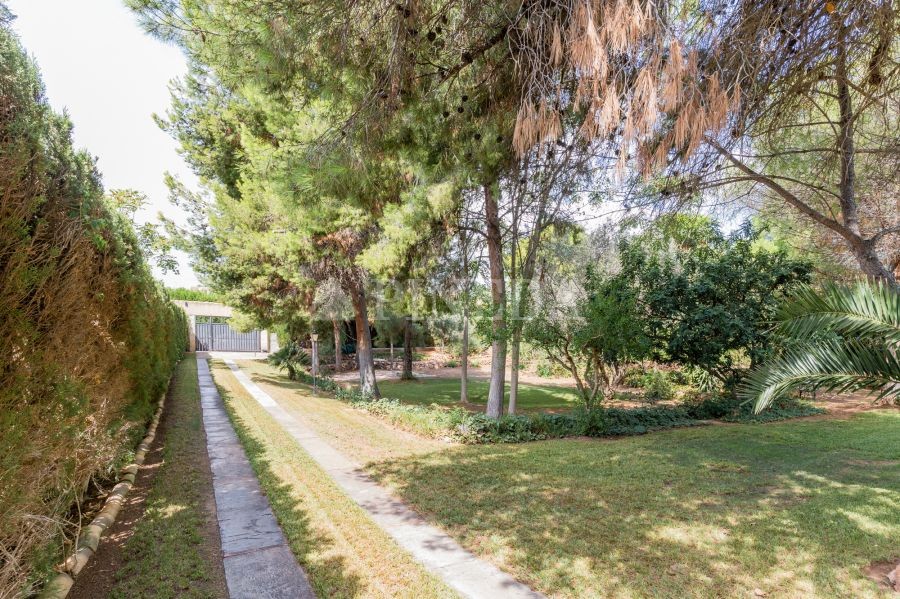 Imagen de Casa en Puçol número 75