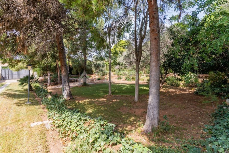 Imagen de Casa en Puçol número 77