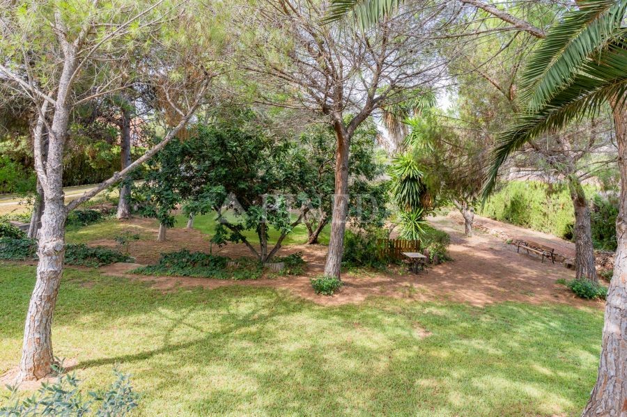 Imagen de Casa en Puçol número 83