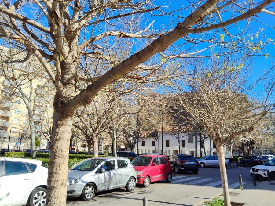 Imagen de Local en Valencia Capital número 14